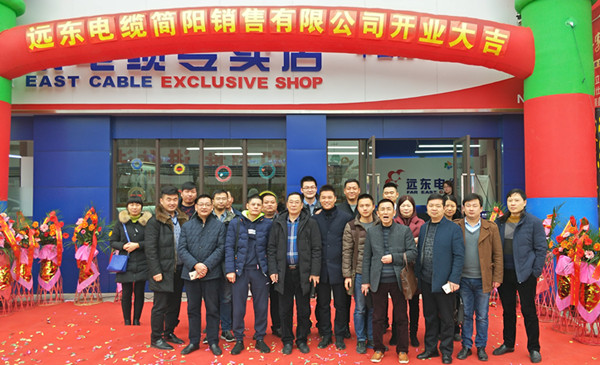 多品牌协同驱动，远东电缆四川再布局
