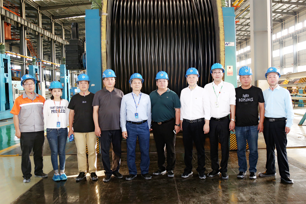 六安钢铁控股集团有限公司领导一行来访远东